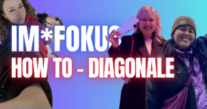 Blogheader Diagonale Survival Guide